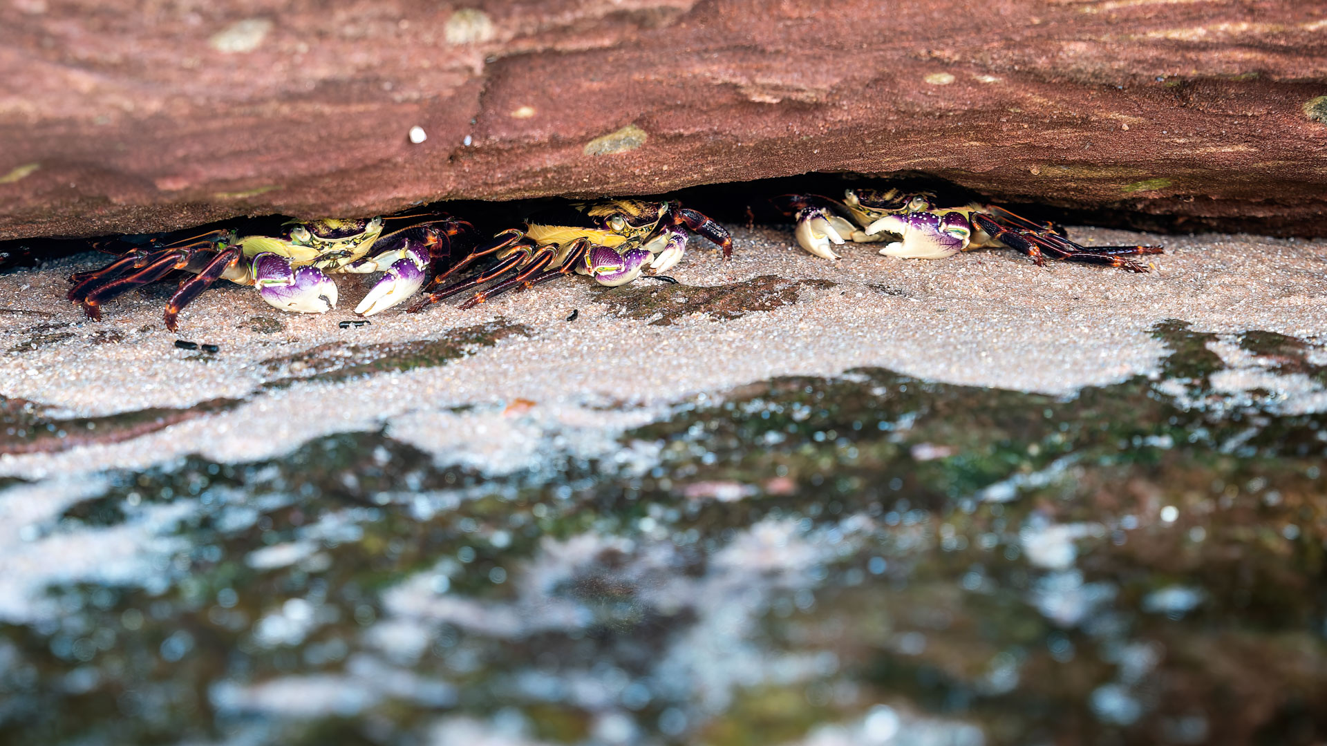 Kalberri - Wanderung vom Red Bluff Lookout nach Pot Alley